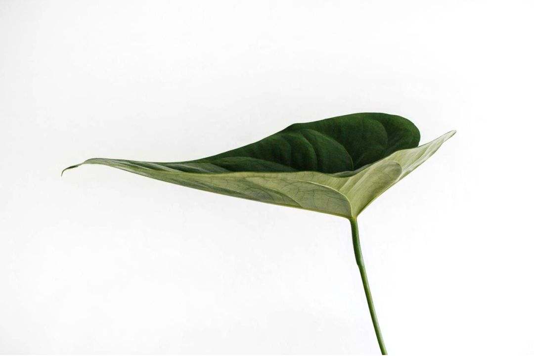 Sustainable packaging